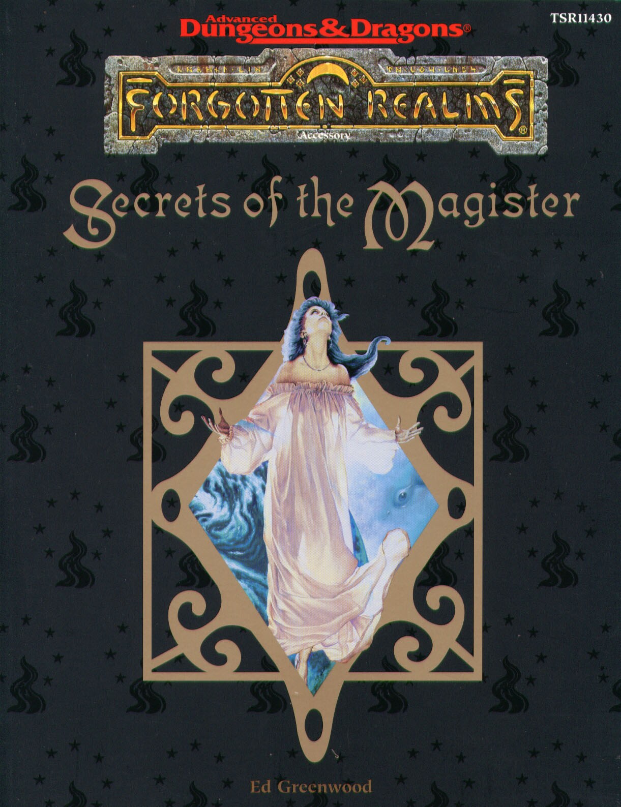 TSR 11430 FOR13 Secrets of the Magister